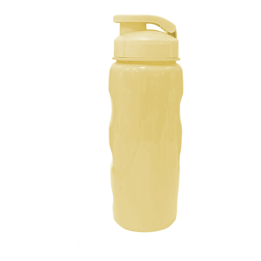  New Squeeze Fortaleza 500ml