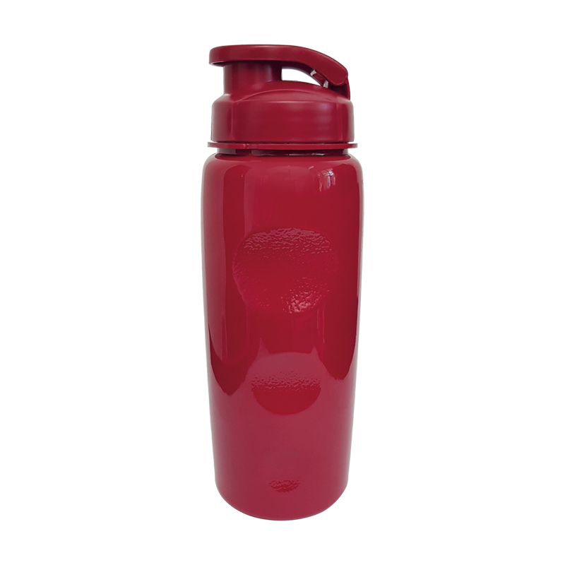  New Squeeze Fortaleza 500ml