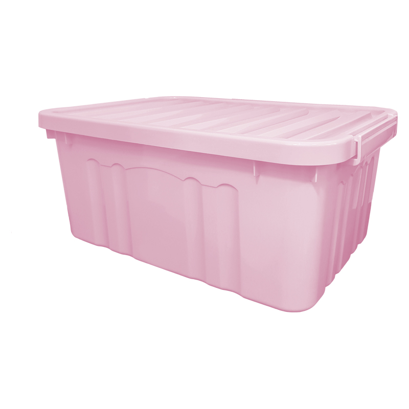  Caixa Organizadora 30l